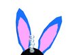 Blue Bunny Ears