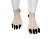 Oriental  Paws Fox