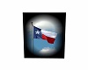TexasFlag Background/Pic