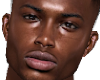 MARQUIS MESH HEAD