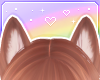 🌙 Husky Ears Ginger