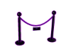 VIP Velvet Rope V3
