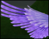 Lavender Wings