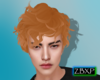 Wave Ginger