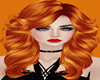 !      DEMAREE  GINGER