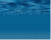 Ocean Floor