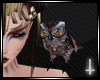 Owl†