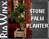 Wx:CFC Stone Palm