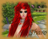 [LS]Dany RED
