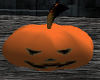~VP~ Pumpkin (Orange)
