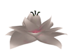 Giant White Lotus