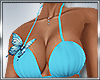 B* Blue Butterfly Set
