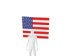 Venjii U.S.A  Flag