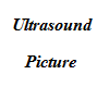 [ii]Ultrasound Picture 2