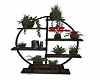 plants