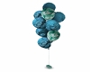 ! ! a balloon cluster