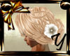 [Y] Fannie Blonde White