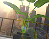金 Modern Plant