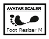 Feet Scaler M