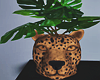 Cheetah Forest Plant