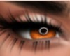 Pumpkin orange eyes
