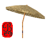 Bamboo Umbrella