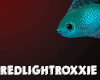 RLR | Light Blue Fish
