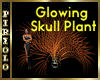 Glowing Skull Plant