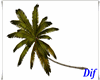 Palm Tree 2/Anim