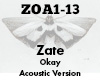 Zate Okay Acoustic