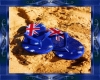Aussie Flip flops (Wall)