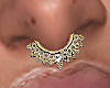 Stella Marina Septum