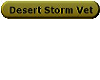 Desert Storm Vet Button