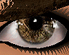 [PL] EyeS -DeX-