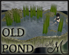MM~ Old Neglected Pond