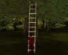 LC Short Ladder Animated