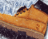 Wheat "Premium" M NS
