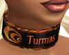 City Collar of Turmas