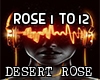 Desert Rose