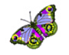 *J* Purple butterfly