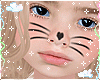 Cat Black Whiskers