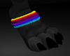 Rainbow Paw Bands