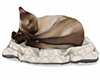 brown cat /white blanket