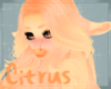 [N] Citrus Ears v2