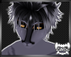 SACHIEL | Hairs