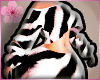zebra croptop