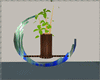 (K) Vase plant