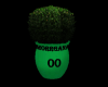 M0* Derivable Fl/pot