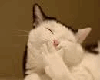 funny voice mohh
