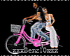 ^Romantic Bicycle /Pink